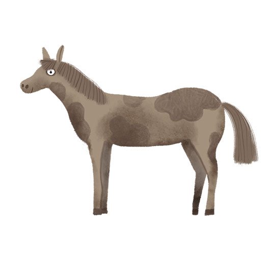 Konik